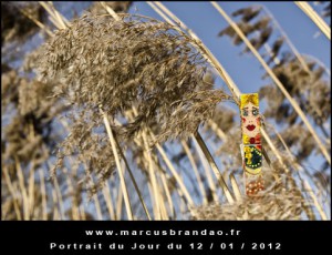 Portrait-du-Jour-2012-01-12