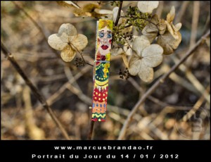 Portrait-du-Jour-2012-01-14