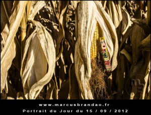 Portrait-du-Jour-2012-09-15