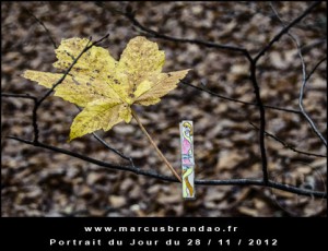 Portrait-du-Jour-2012-11-28