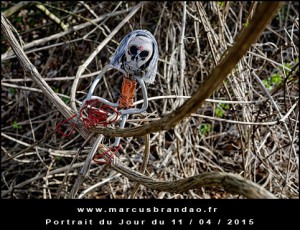 Portrait-du-Jour-2015-04-11