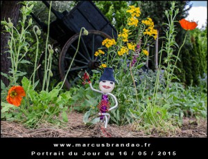 Portrait-du-Jour-2015-05-16