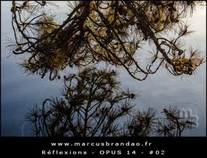 Reflets-et-Reflexions-Opus-14-02