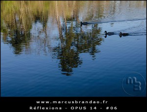 Reflets-et-Reflexions-Opus-14-06