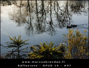 Reflets-et-Reflexions-Opus-14-07