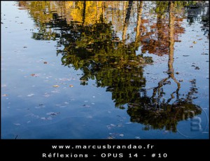 Reflets-et-Reflexions-Opus-14-10