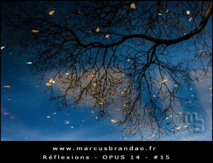 Reflets-et-Reflexions-Opus-14-15