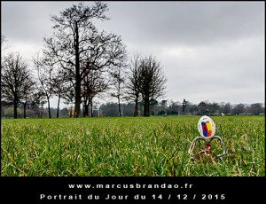 Portrait-du-Jour-2015-12-14